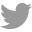 Twitter icon